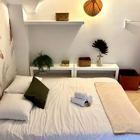 The Jungle - Superbe Au Coeur De !